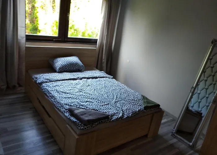 Apartment Valeria Vendeghaz *